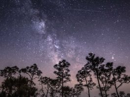 Сегодня и завтра можно будет наблюдать метеоритный дождь