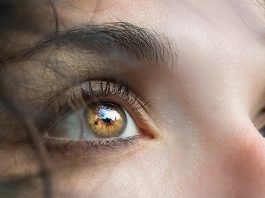 Ученые окончательно связали меланопсин со светобоязнью