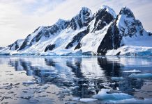 Бактерии могут выжить даже в полярных льдах