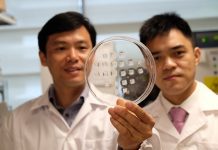 Ученые разрабатывают гормональный патч для похудения