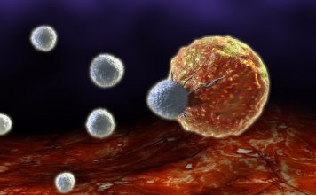 Ученые подошли еще ближе к реальному лечению рака Т-клетками