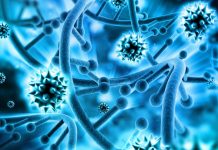 Ученые получили первые положительные результаты работы ДНК-вакцины от гриппа