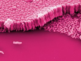 Ученые создали новый тип металлического стекла