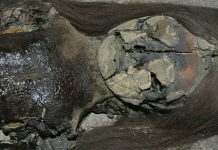 Человечество может навсегда потерять древнейшие мумии