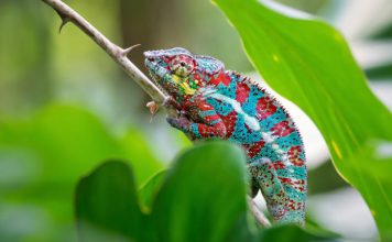 Представлен новый материал-хамелеон для компьютеров нового поколения