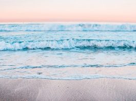 В океане нашли ранее неизвестный вирус с необычным ДНК