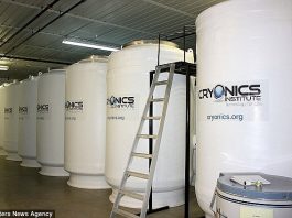 Криогеника