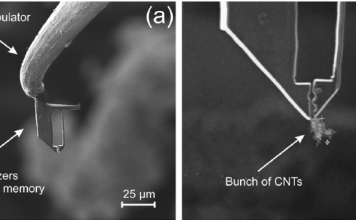 Изобретены уникальные нанопинцеты для захвата наночастиц