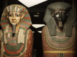 Египтологи