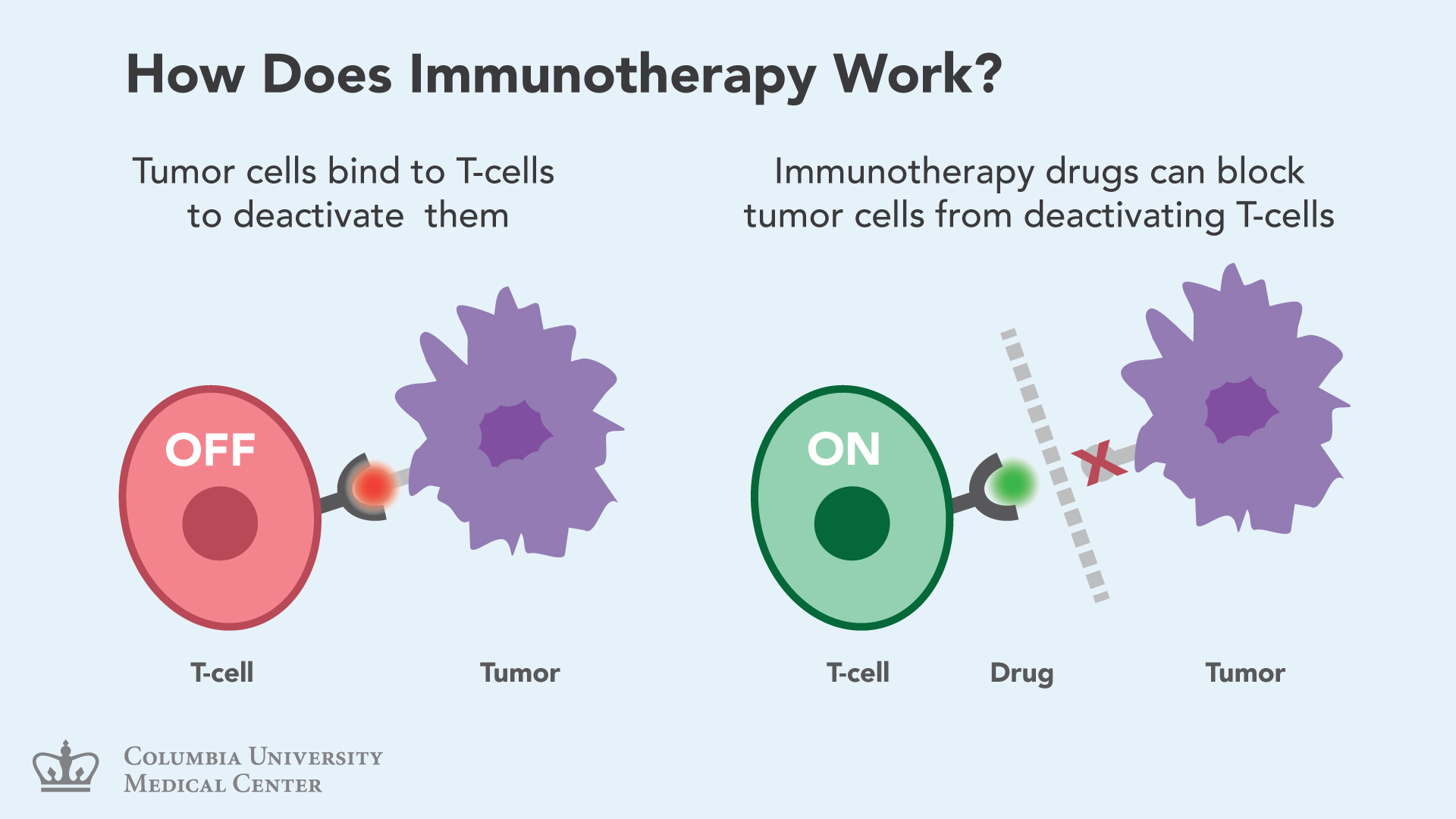 Иммунотерапия 