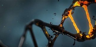 DNA
