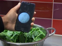 Разработано небольшое приложение для оценки количества бактерий в еде