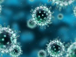 Новые наночастицы в качестве инструментов современной стоматологии