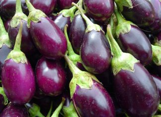 Баклажаны с доставкой по всей Украине!