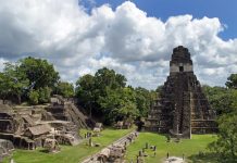 «Цифровое обезлесивание» помогло обнаружить затерянный город Майя