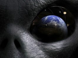 Ученые задумались над созданием анти-спам фильтра для иноземных сообщений