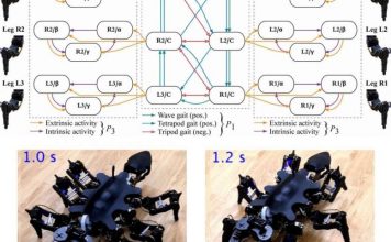 Предложена новая методика построения паттернов движения у роботов