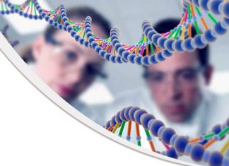 Преімплантаційна генетична діагностика в Києві від igr-lab.com.ua