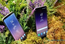 Samsung выпустил новое обновление Oreo для Galaxy S8 Oreo