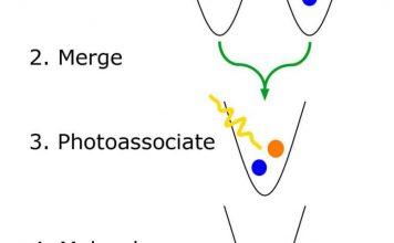 Создана биполярная молекула с уникальными квантовыми свойствами