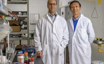 Обнаружена молекула, ответственная за развитие болезни Паркинсона