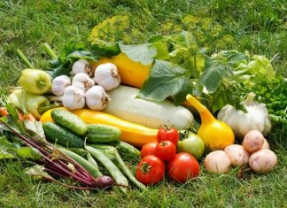 Как добиться максимального урожая за дачный сезон?