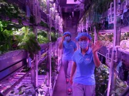 Китайские студенты-добровольцы провели 110 дней в лунной симуляции