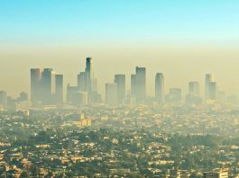 Учёные нашли подтверждения сезонного сдвига