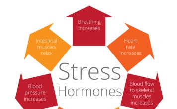 Представлен новый монитор кортизола в Стэнфорде