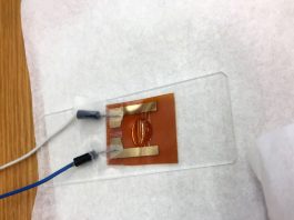 Создана разработка, улавливающая вирусную угрозу москитов