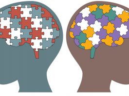 Белок CPEB4 может быть триггером сотни генов аутизма