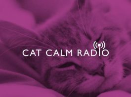 WHISKAS создал кошачье радио