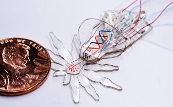 Паук-павлин в формате микрожидкостной робототехники