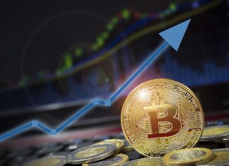 Куда можно инвестировать деньги в интернете?