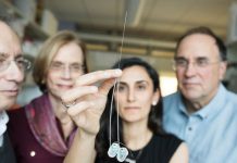 Создана новая система доставки наночастиц в мозг