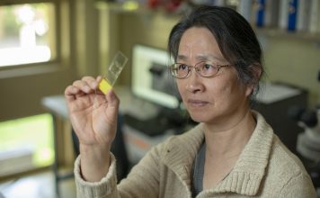 Обнаружены следы 13,000-летнего пивоварения в израильской пещере