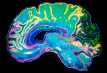 Ученые-нейробиологи составляют декодер эмоций в мозге