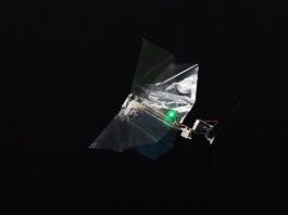 DelFly Nimble — новый проект робота-мухи от DelFly