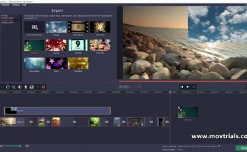 Конвертер видео от Movavi