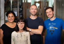 Открыто три новых группы ушных нейронов