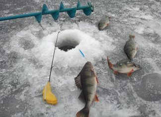 Как подготовиться к зимней рыбалке?