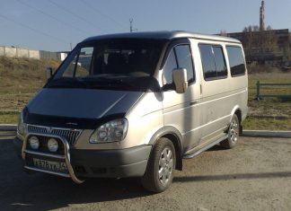 Что из себя представляет и как купить Соболь Баргузин