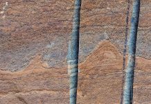 Останки микробов в камне возрастом в 3,7 миллиардов лет были опровергнуты