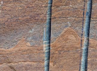 Останки микробов в камне возрастом в 3,7 миллиардов лет были опровергнуты