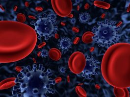 Создан новый экспериментальный комплекс против ВИЧ