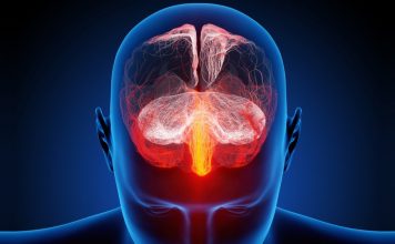 Депрессия и головной мозг: найдены новые взаимосвязи