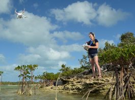 Ученые следят за океанической экосистемой с помощью DJI Phantom Vision