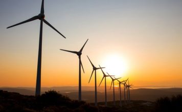 Создана система защиты летучих мышей от воздушных турбин