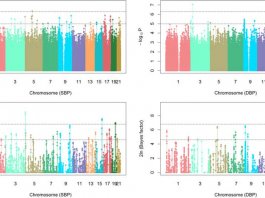 Специалисты предложили использовать «черный список» для генетического анализа