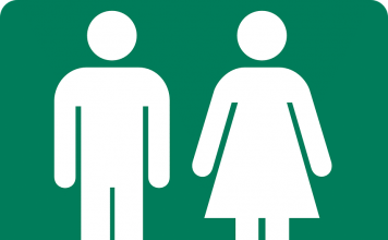 Выявлены некоторые интересные особенности сексуального развития эмбриона